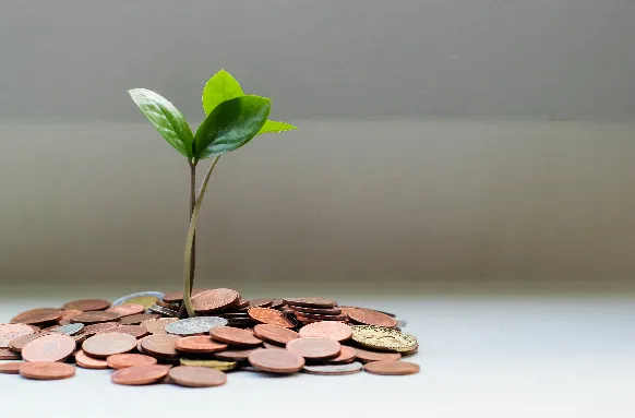 Make Money